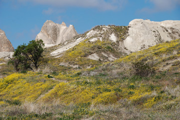 (118) cappadocia