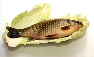 fresh crucian isolated on white background
