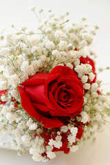 rose bouquet on white