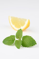 Lemon balm and lemon