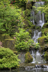 Fototapeta na wymiar Wodospad w Ogrodzie Japońskim 2