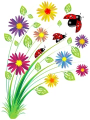 Door stickers Draw Coccinelle Su Fiori-Ladybirds on Flowers-Vector