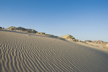 Fototapeta na wymiar Sand dune with natural ripples.