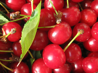 cherry