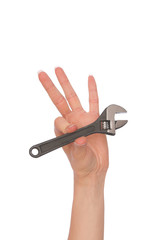adjustable spanner