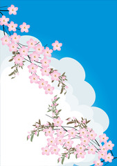 pink flower branches on sky background