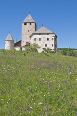 Burg Thurn