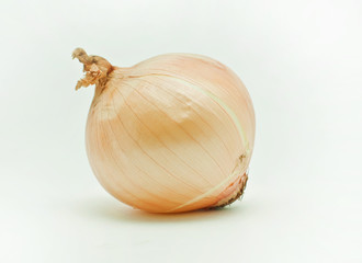 fresh yellow onion