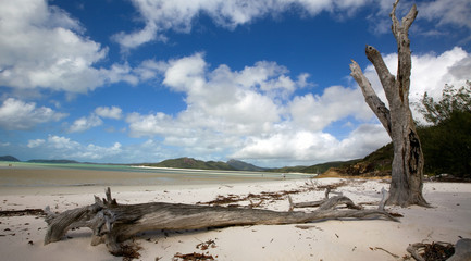 Whitehaven Beach