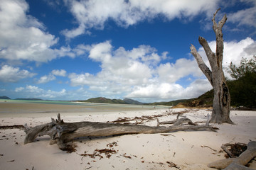 Whitehaven Beach