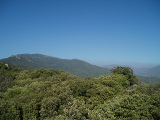 Fototapeta na wymiar Montagne Corse