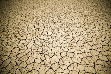 Poster Badly cracked earth under a scorching sun in drought as background texture for climate change or global warming concept © THP Creative