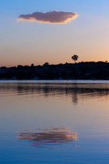 One tree, one cloud, and water, at sunset