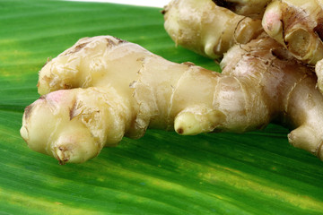 rhizome de gingembre