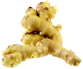 gingembre, fond blanc