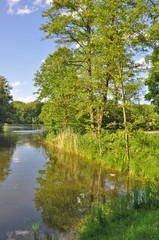Fototapeta premium wasserlandschaft
