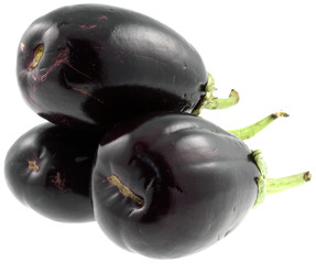 aubergines, fond blanc