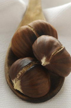 Caldarroste