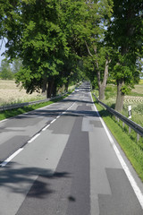 Obraz premium Landstraße auf Rügen