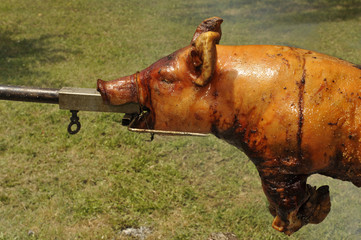 Cochon embroch&eacute;