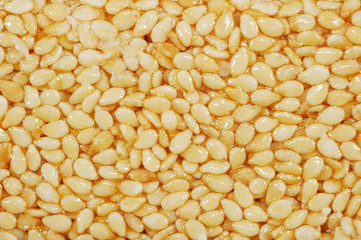 Sesame seed