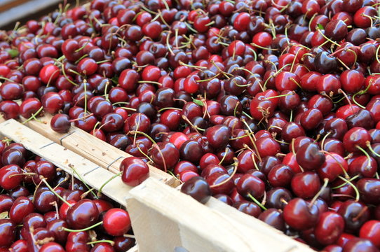 caisse cerises