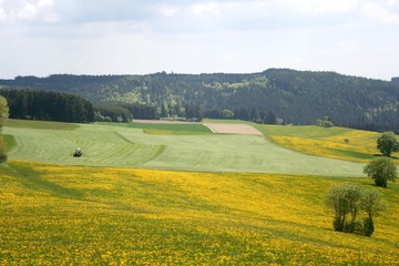 Fototapeta premium Frühlingslandschaft