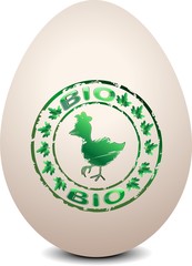 Uovo Biologico con Marchio-Biological Egg-Vector