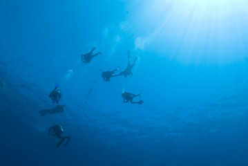 Fototapeta na wymiar Scuba Divers malejacy na niebiesko.