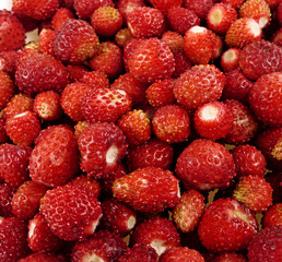 wild strawberry background