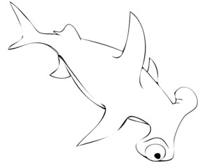 shark