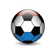 Fototapeta premium icona pallone calcio Olanda