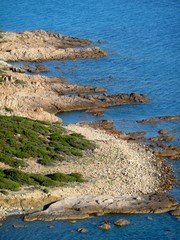 côte de corse