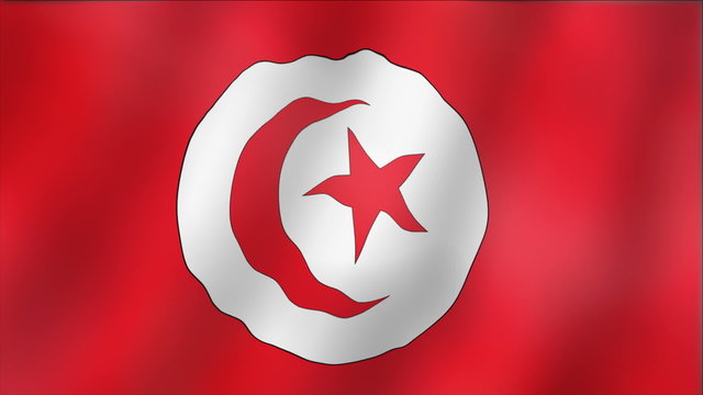 Tunisia - waving flag detail