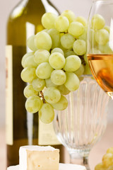 Still-life with bunch of grapes and white wine