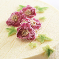Candied Blossoms