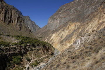 Colca canyon, near Arequipa, from near  the botttom