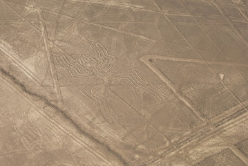 Spider figure, Nazca lines in Peruvian desert