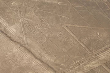 Wandcirkels aluminium Spider figure, Nazca lines in Peruvian desert © Tomaz Kunst