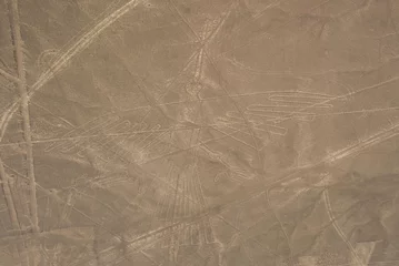 Gordijnen Condor figure, Nazca lines in Peruvian desert © Tomaz Kunst