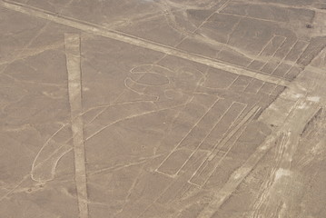 Parrot figure, Nazca lines in Peruvian desert