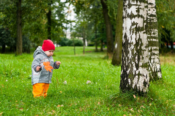 One little baby one year old walking in autumn park with maple