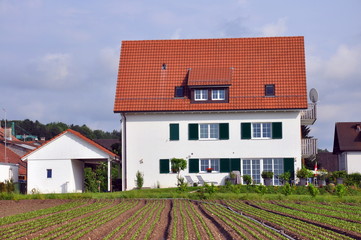 Mietwohnungen