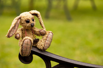 small rabbit soft toy sitting in an iron bench, Author's work wi