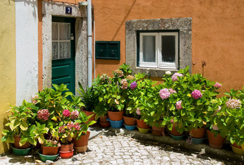 Fototapeta na wymiar Małe patio w Portugalii z fowers w donicach