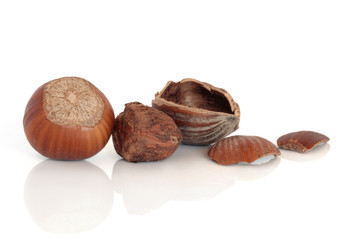 Hazelnuts