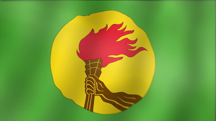 Zaire - waving flag detail