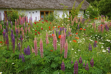 Gartengestaltung