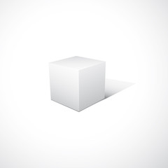 Cube-shaped Software Package Box