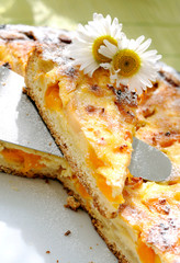Curds pie with apricot and pear